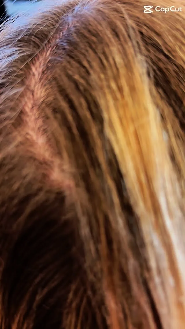 Fresh up ✨
#arjohairstyle #delmenhorst #arjohairstyle #glynthair #masterofcolor #bremen #slaybyrojin